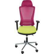 Tokyo Yönetici Koltuğu