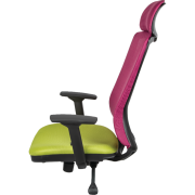 Tokyo Yönetici Koltuğu