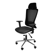 Tokyo Yönetici Koltuğu