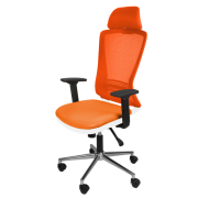 Tokyo Yönetici Koltuğu