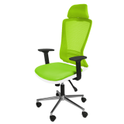 Tokyo Yönetici Koltuğu